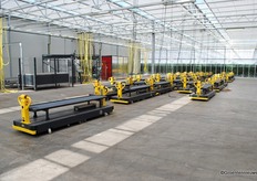 The transport system for the tomatoes was not yet in use. Now the harvest of tomatoes is in full swing.