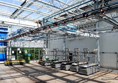 The irrigation booms for bedding plant production are now suspended above the path.