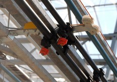 cap for water and cap for crop protection.