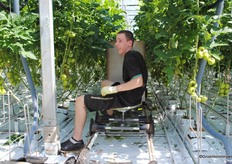 "At Emsland Gemuse, a cart was developed in which removed leaf can be placed. "The land here is very flat and prone to standing water," says Peters. "By not throwing leaves on the ground we prevent mold."