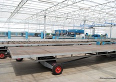 Storage for bedding plant production. With the cultivation shift in November, the plants are easily moved to the greenhouse.