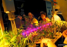 Spanish growers in Agrolux booth