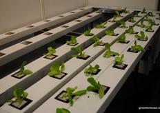 Demtec / Hortiplan gutters