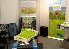 The yield/m2 increases with the system