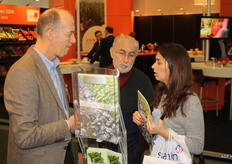 Piet van Vugt tells more about the building plans in Ridderkerk and the growing activities in Kenya and Spain.