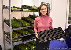 J'T House's mw Youngsook Nam presents the companies' trays