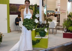 The new Girlanden-Hortensie Runaway Bride was presented by an actual bride.