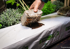 That looks fine right?