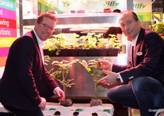 Marcel Weering and Sander Clemens (Jiffy) at organic substrate, popular in pepper cultivation.
