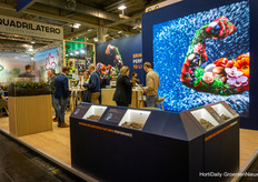 At BVB Substrates, there was a lot of talk about substrate - duh - and how to use the right mix in a result-oriented way