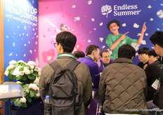 Very busy at Endless Summer