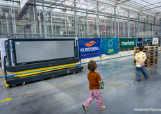 Do you run faster than the self-propelled harvest carts?