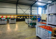 And of course someone was still at work sorting the peppers!