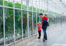 The hidden world behind the glass