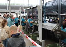 Planting cuttings with TTA-ISO's line