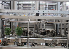 A yellow robotic arm puts the plants in the transport tray. The full tray moves to the roller conveyor where they are put away on order