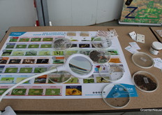 Which critters do you spot?