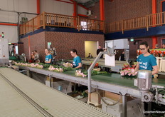 Here the lisianthus are tied together