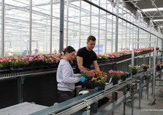 Pots are put in the trays