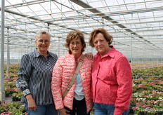 The sunbeams these friends call themselves