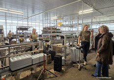 The packing and sorting of potted roses at Harg & Roses attracted a lot of attention.