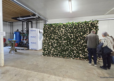 A photo wall full of potted roses at Harg & Roses