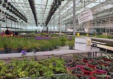 Between shopping at Vers van Voorne also some technical information, for example on measuring boxes deployed to keep the climate optimal.