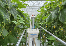 Biological controllers should also be fed