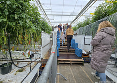 Through this 'staircase' you could look out high above the crop at Bryte