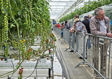How often do you get the chance to look inside a tomato greenhouse as a layperson these days? Many took the chance to look inside, here at location Greenforce by Bryte.
