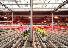 Many visitors were amazed by the automation