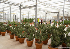 And almost everything was on sale