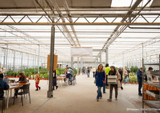 And something to do for children everywhere