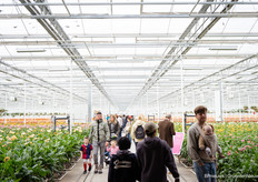 And visitors enjoyed all the colours around them