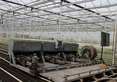 This modern chrysanthemum farm plants fully automatically with this planting machine.