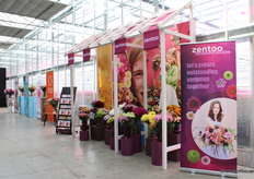 Growers' association Zentoo had done its best for a bright display. Looks top notch!