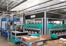 Here, almost all the colourful plants leave the company again. They are provided with a cover here.