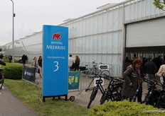 Now to the colourful company Meerrust.