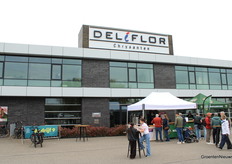 Welcome to Deliflor Chrysanthemums.