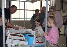 Taste and assess tomatoes for flavour.