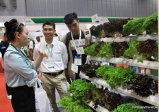 Tran Van Ky Thoai with Rijk Zwaan, gives information to a visitor about the different greeny leafs