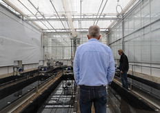In this trial, that is being set up right now, the researchers are studying the possibilities of a biological balance in aquaponic cultivation.