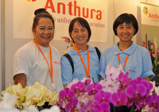 Nittaya, Saravan and Sasitorn where representing the anthurium varieties from Anthura.