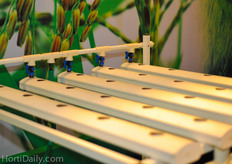 About 5 exhibitors at Horti Asia 2013 where exposing this kind of NFT hydroponic growing systems. The low entry gutter systems enjoyed a lot of interest.