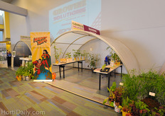 Mighty Mato is a tomato plant for retailers