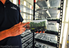 Inside the container is a a special gel that contains nutrition, moisture and hormones.