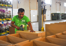 Workers preparing the boxes. The packaging contains Ethyl block and heat packs for temperature control to extend the shelf life of the orchids and to deliver the best quality after long shipping periods.