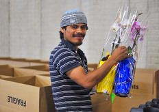 One of the workers packing the plants.