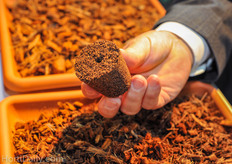 Sivanthi Joe has developed a 100% coir propagation plug. The coir is made binding with a glue based on a coco substance.