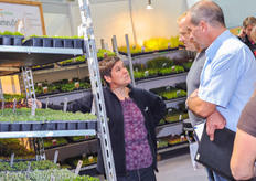 Next to a big selection of technical greenhouse suppliers there where also 10-15 nurseries, breeders and young plant suppliers present at the show: Schmeuber gartenbau